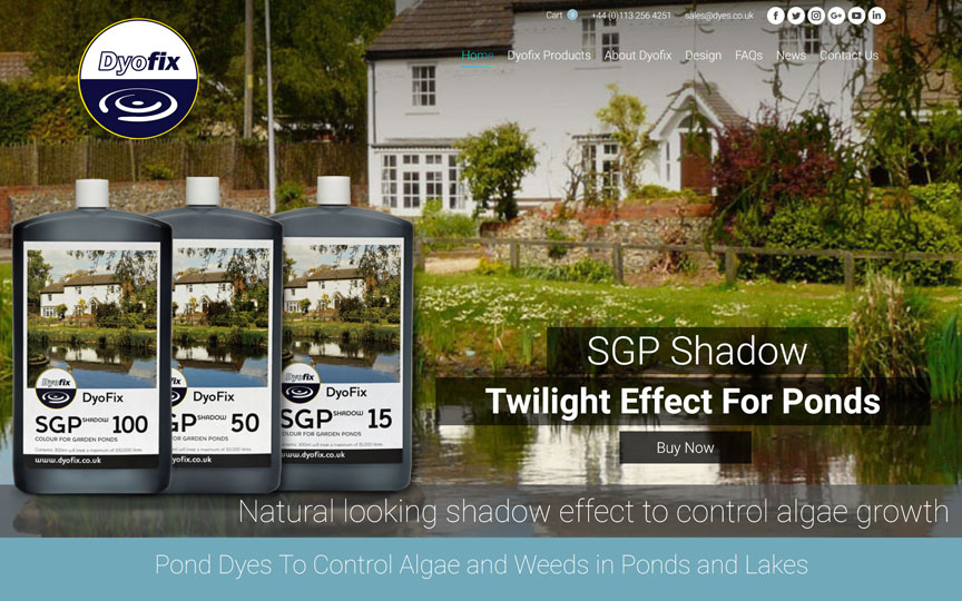Dyofix homepage screenshot
